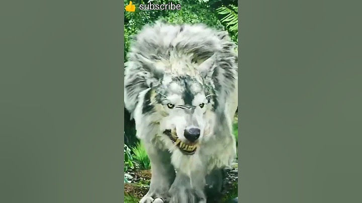 Jahan galti nahin vahan kabhi jhukta nahin-#lion #motivation #motivational #quotes #trending #shorts