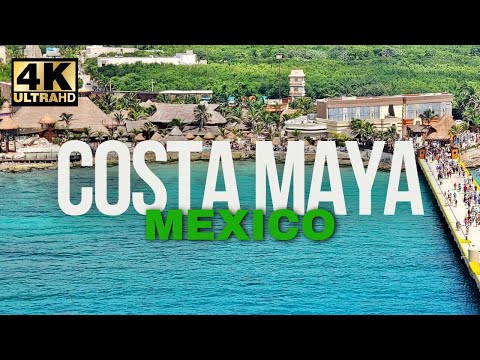 Walking Tour of the Port of Costa Maya Mexico [4K] 🇲🇽 thumbnail