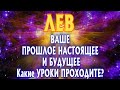 ЛЕВ ♌ ВАШЕ ПРОШЛОЕ НАСТОЯЩЕЕ БУДУЩЕЕ Какие УРОКИ Вы ПРОХОДИТЕ Расклад Таро гадание онлайн