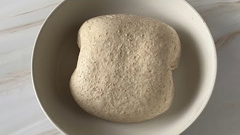 1x Stretch & Fold and 4x Coil Folds