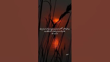 سورة يوسف بصوت الشيخ مشاري العفاسي 🍃🤍