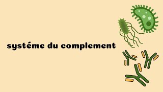 Systéme du complement (La voie altern+ voie des lectines) 🦠