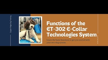 Functions of the ET-302 E-Collar Technologies System