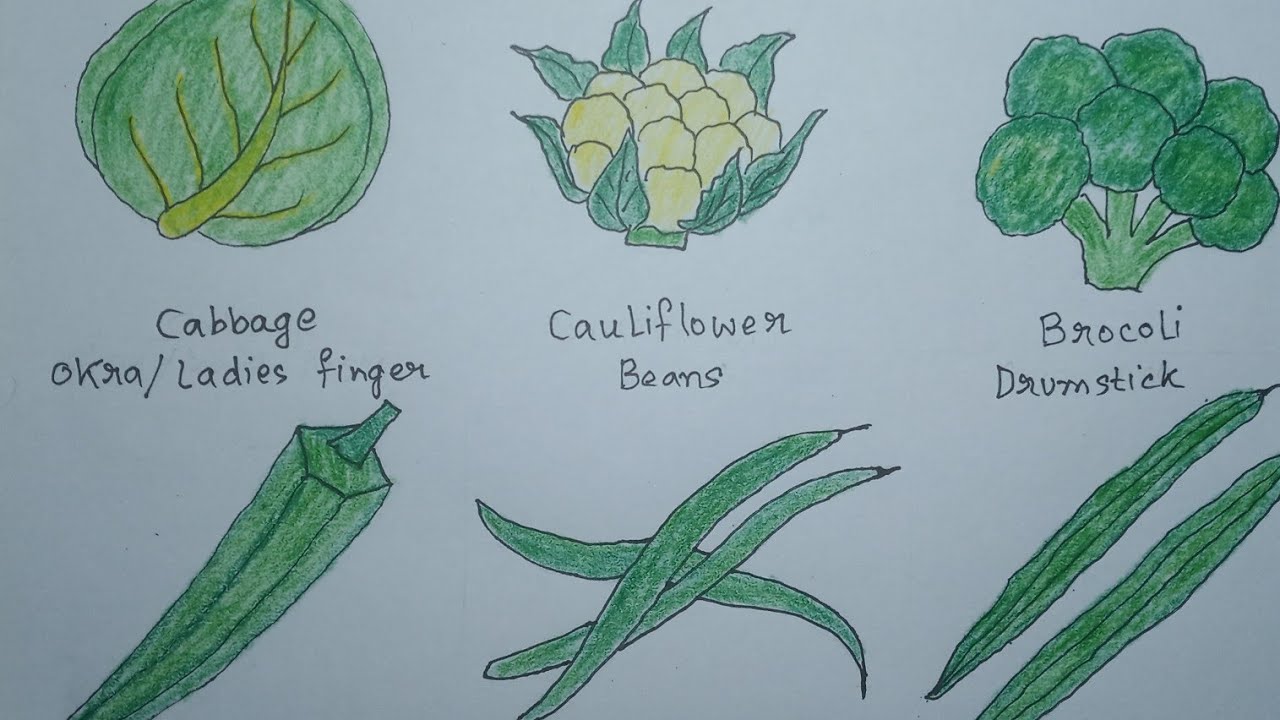 How to draw green vegetables | - YouTube
