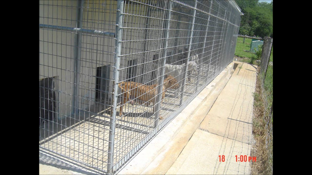 Windsor, Missouri Pound YouTube