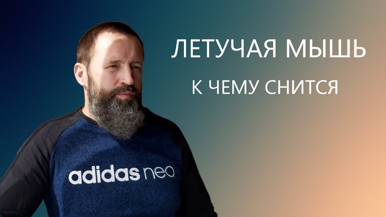 Летучая мышь. К чему снятся мыши.