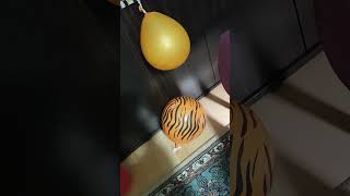 Trt Çocuk Ni̇ls Ve Uçan Kaz 28 Aralik 2021