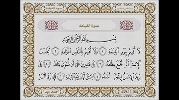 سورة القيامة بصوت الشيخ حسن صالح 075