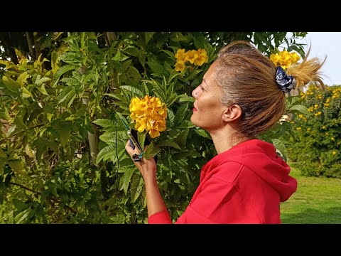 شرح تفصيلي عن كورس البوابه