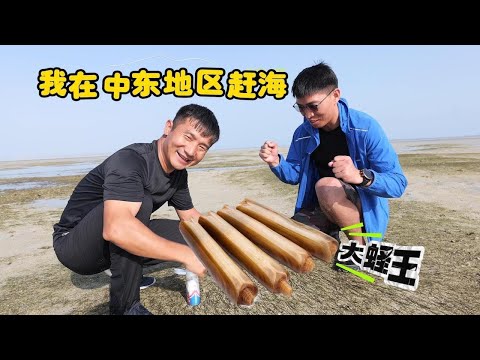 《Oman自驾》第12集：退大潮后，沙滩遍地是大海货，难道中东人都不吃？#抓螃蟹 #大蛏王 #中东地区 #阿曼 #赶海 #海鲜美食 #自驾 #阿曼旅行