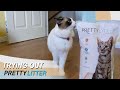 Trying Out PrettyLitter