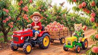 Monkey Farmer and Cat JCB Drive Tractor to Harvest Ripe Peaches and Rescue Fallen Bird Nests