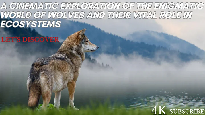 Guardians of the Wild: A Cinematic Exploration of the Enigmatic World of Wolves and Their Vital Role