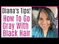 My Gray Hair Journey: Diana's How to Go Grey from Black Hair