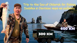 Trip to the Sea of Okhotsk for fishing🐟 / Поездка в Охотское море на рыбалку🐟 Pandasakha Yakutia