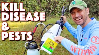 Our Go To Spray To Combat Disease And Pests On Our Fruit Trees! (Organic) screenshot 3