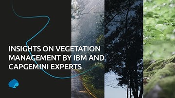 Insights on Vegetation Management by IBM and Capgemini Experts