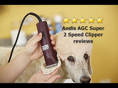 andis 2 speed professional dog clippers