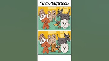 Spot 6 differences #155