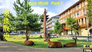 【４K HDR】　Nara Walk / Nara Park   奈良散歩 / パート１ / 奈良公園周辺