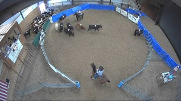 Big Sky Ranch Sorting Saddle Series #4 - #8 HC RANCH HAND (2 CAP SORTER) - Round #1 - Ride #53