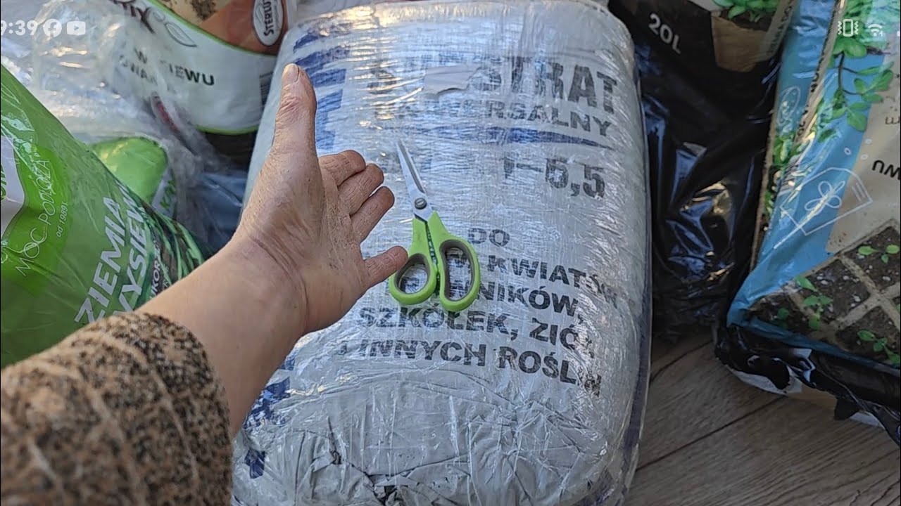 ✅ 4 rodzaje ziemi do wysiewu i nasiona które teraz wysiewam 1.II2026r