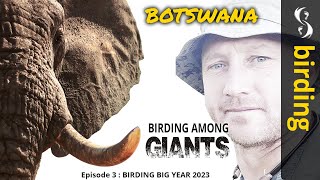 Birding Among GIANTS : Botswana-Mababe : Episode 3 Birding Big Year 2023