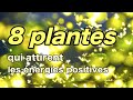 8 plantes qui attirent les nergies positives