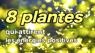 8 plantes qui attirent les énergies positives