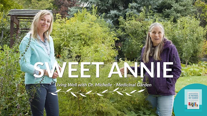 Michelle Jorgensen & Marjory Wildcraft - The Healt...