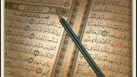 الشيخ عبدالمحسن القاسم _ سورة القلم