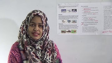 Class: Three, Subject: Elementary Science (Lecture: 7, H.W.- 7), Topic: Introduction to Technology