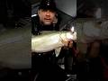Killer day fishing for #walleye on Lake #Winnipeg.