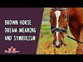 Brown horse dream meaning and symbolism