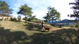 Videoaudio Ambix 1St Order Youtube 360