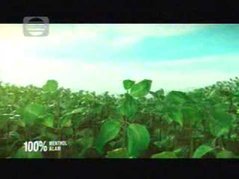 Indosiar La Menthol 23  50