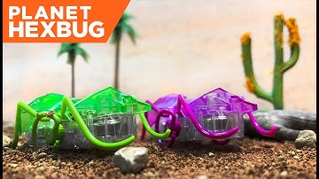 Planet HEXBUG - Episode 2: The Micro Ant