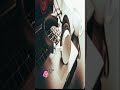 الفنان صلاح الجنيبي 2021 كلمات الشاعر بوخطيب اسعديني ياملاااااك جديد وحصري 2021
