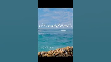 #قرآن_كريم #حالات_واتس #القارئ_عبد_الرحمن_مسعد #تلاوة_هادئة