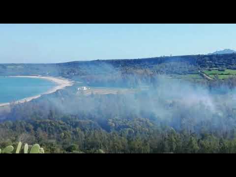 Ogliastra, incendio nella zona di Cea: rogo in un canneto e tra gli alberi