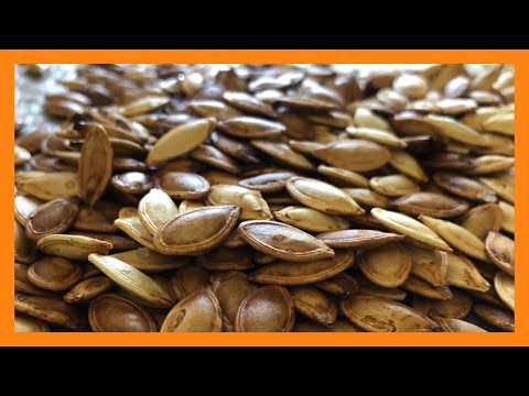 Video: Cum Se Usucă Semințele De Dovleac
