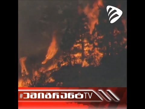 ევროპის ქვეყნებსა და ამერიკაში ძლიერ სიცხეს ებრძვიან ☀️🔥#EmigrantTV  #ემიგრანტTV #ევროპა #ამერიკა