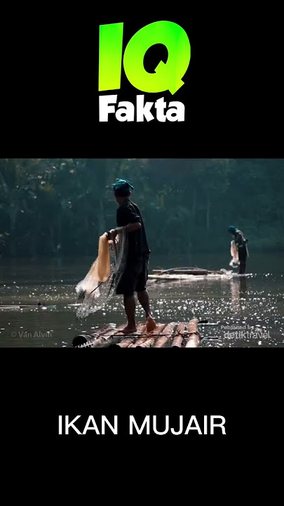 Fakta Unik Ikan Mujair! @iqfakta #ikan #ikanmujair #reels #videoviral  #shorts
