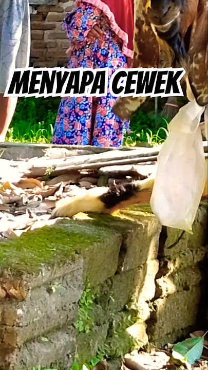 REAKSI KETEMU CEWEK #shorts