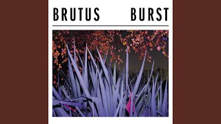 Miniatura del video "Brutus - Not Caring"