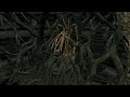 Dark souls  the bed of chaos death animation