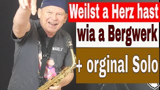 Video thumbnail of ""Weilst a Herz hast wia a Bergwerk" Fendrich, Sax Solo, Sheets, Backing"