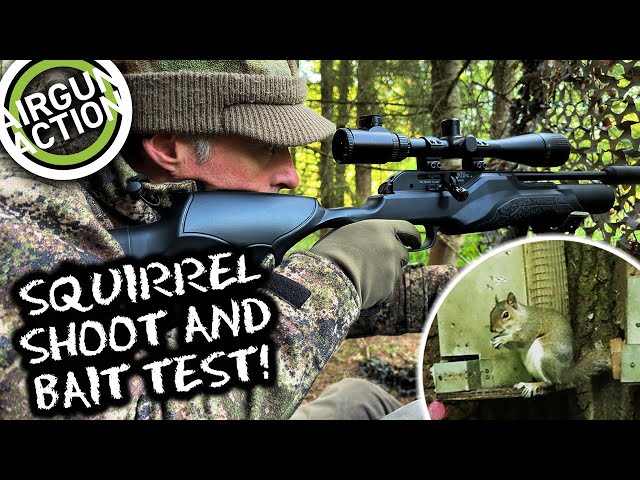 Airgun Action, Cheap squirrel hunting and bait test