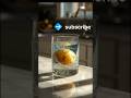 Potato Growing in Water Glass Timelapse | Amazing AI Plant Growth Video 🌱🥔