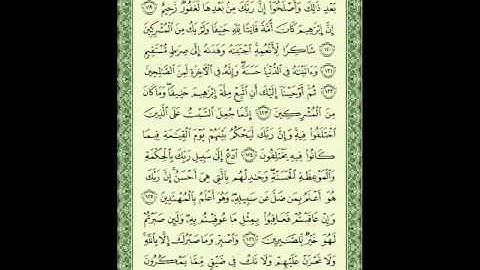 فضيلة الشيخ محمود محمد الخشت  في تلاوة قرآن الفجر من سورة النحل من مسجد الإمام الشافعي  رضي الله عنه    يوم 17 من المحرم 1434 هـ   1 12 2012م